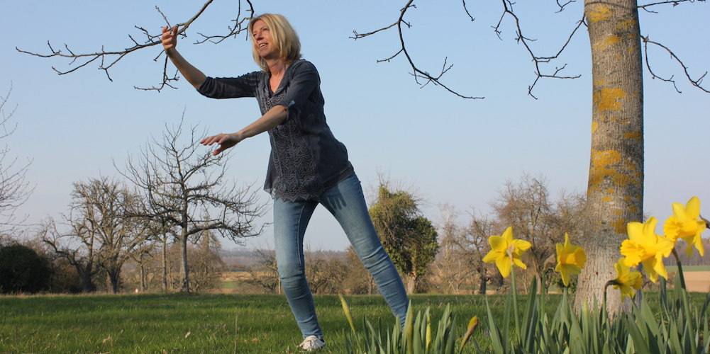 qigong_banner