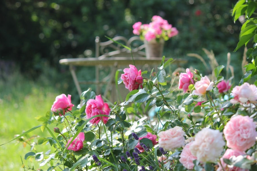 rosengarten