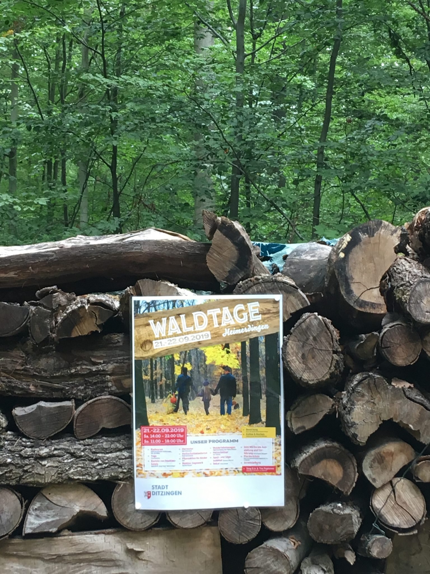 waldtage_19_00