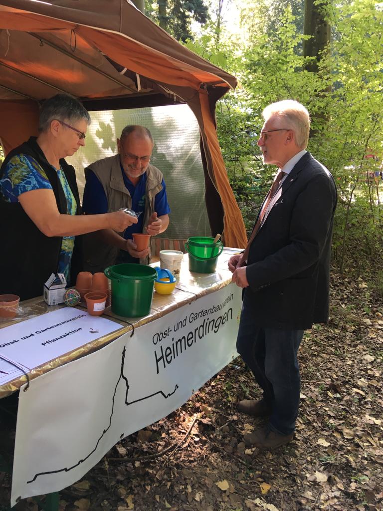 waldtage_19_06