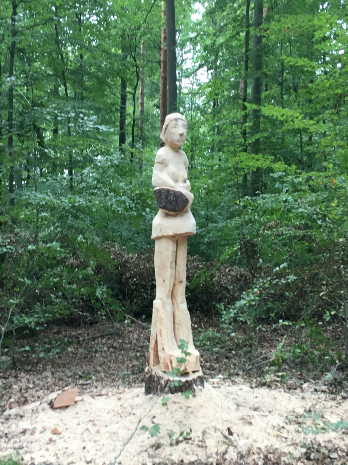 waldtage_19_10