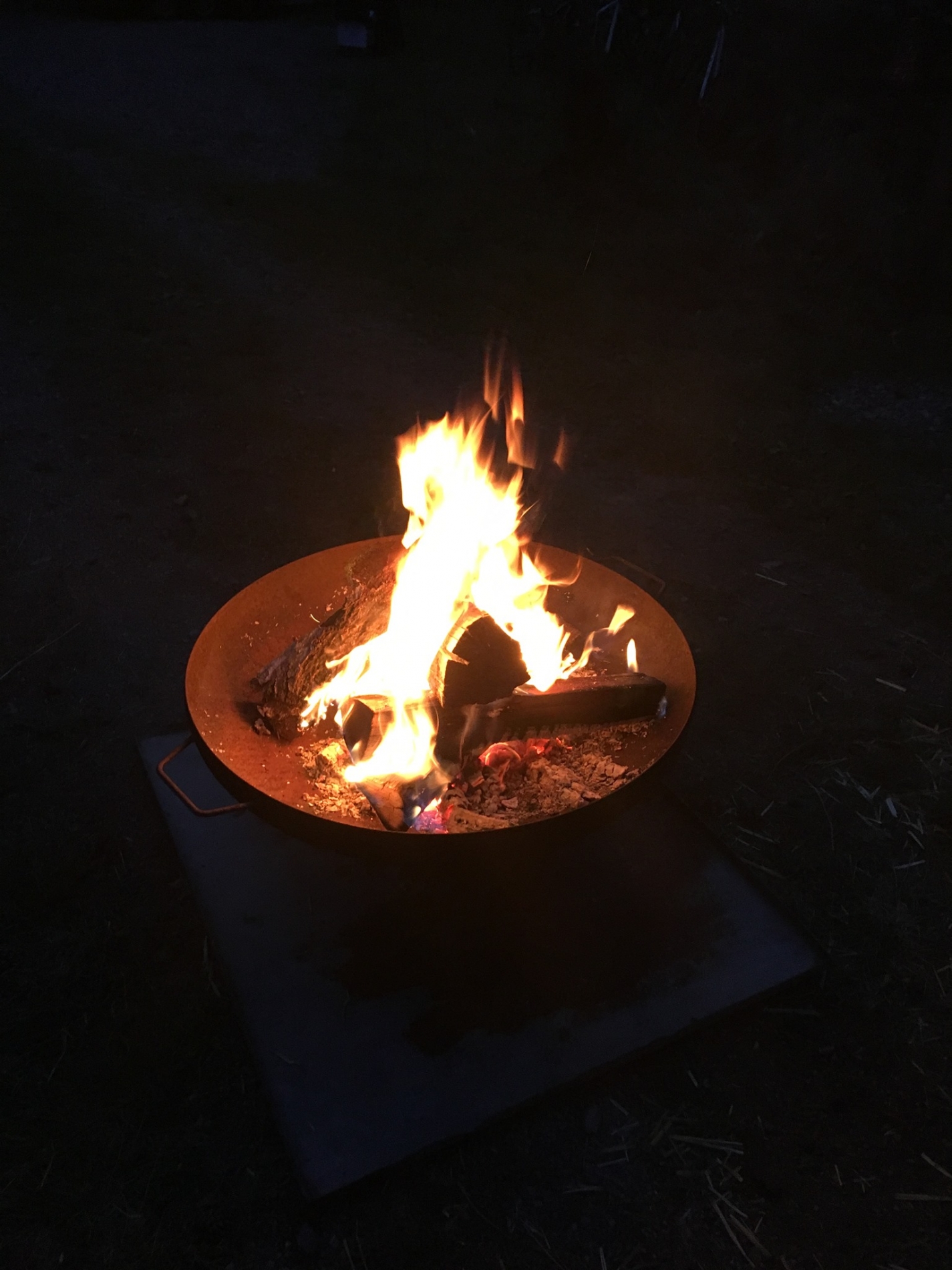 waldtage_19_12