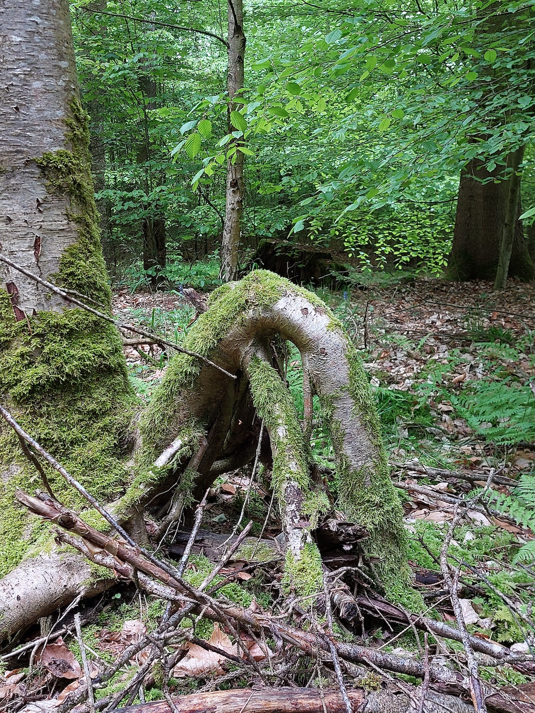 wald23_10