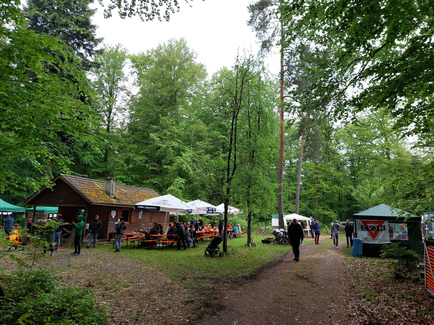 wald23_2