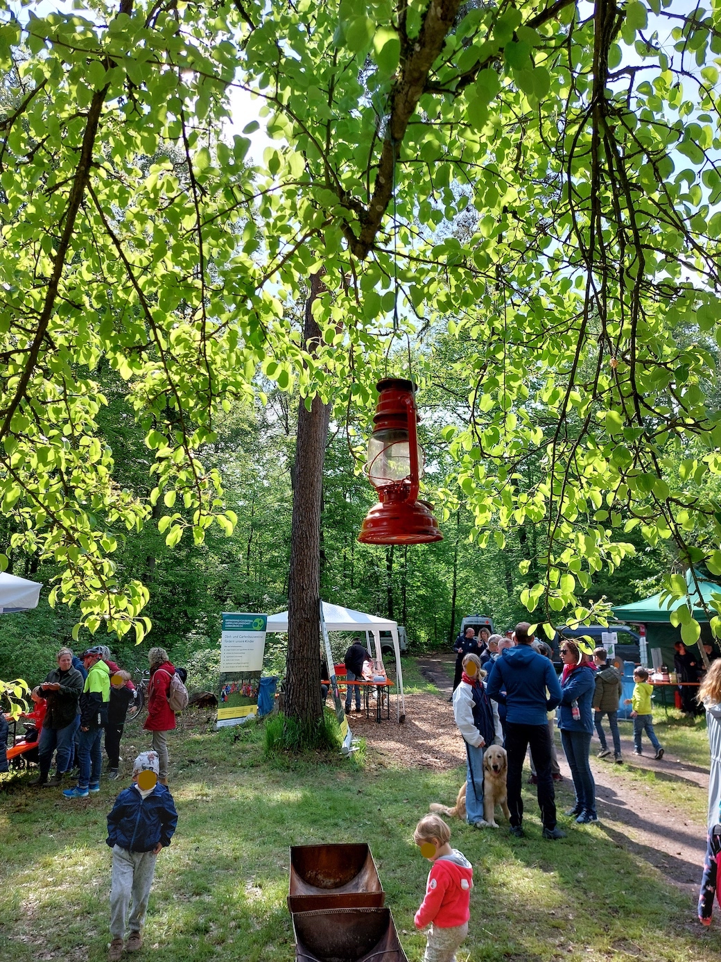 wald23_7
