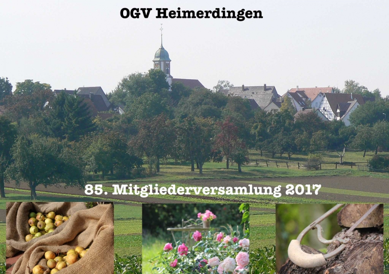 jhv_2017_thumb