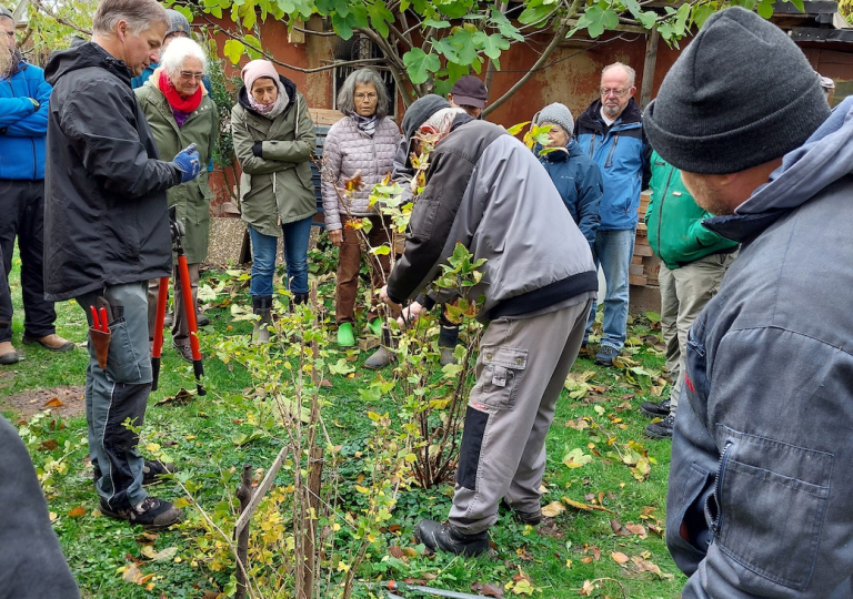 Obstbaum- und Beerenschnittkurs 2023