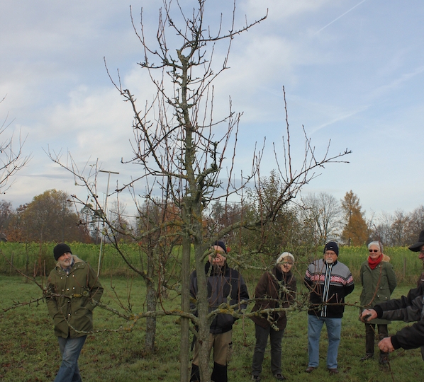 obstschnitt19_13v