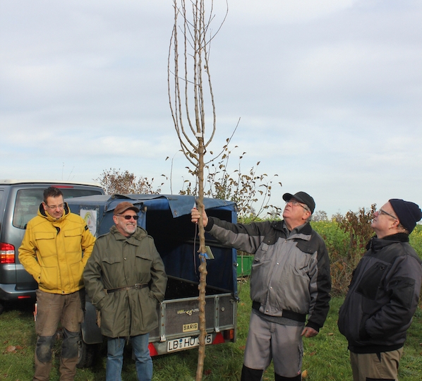 obstschnitt19_vicky1
