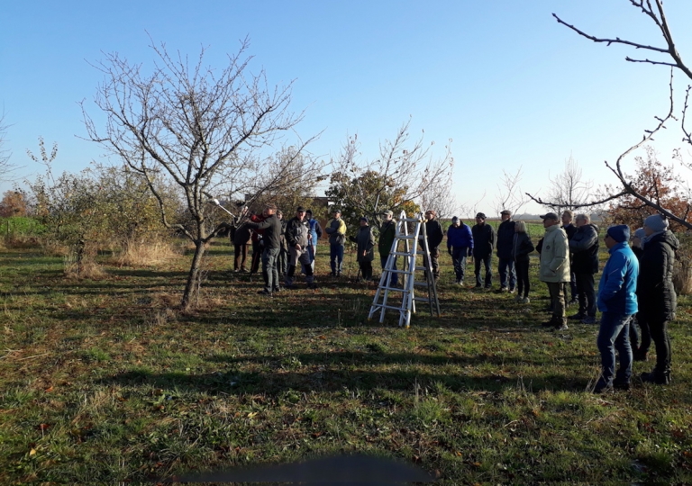 Obstbaumschnittkurs 2018