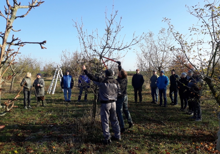 obstschnitt_1805