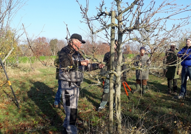 obstschnitt_1806