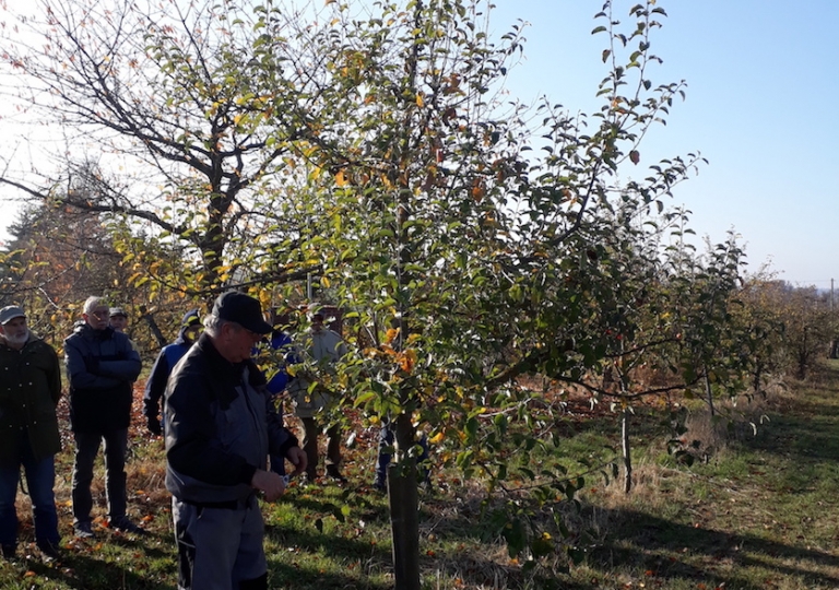 obstschnitt_1808