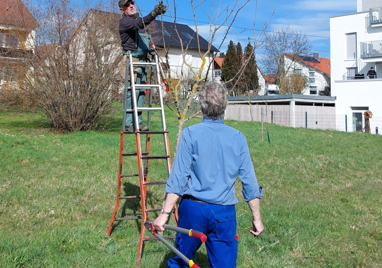 obstwiese23_2