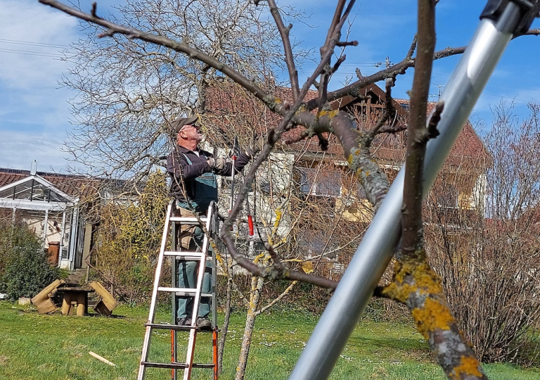 obstwiese23_4