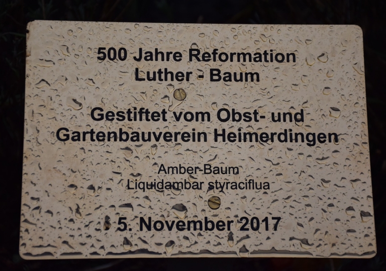 luther1