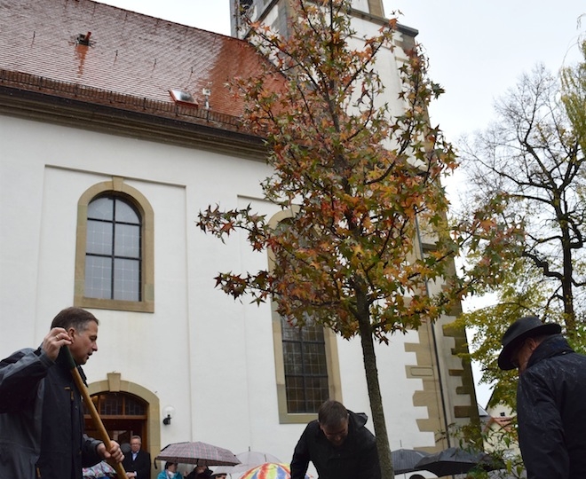 Pflanzung Luther-Baum 2017