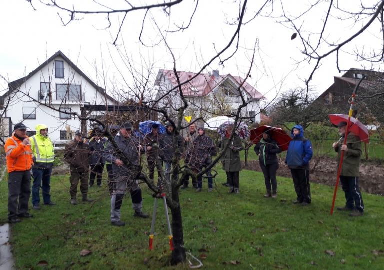 Schnittkurse 2017