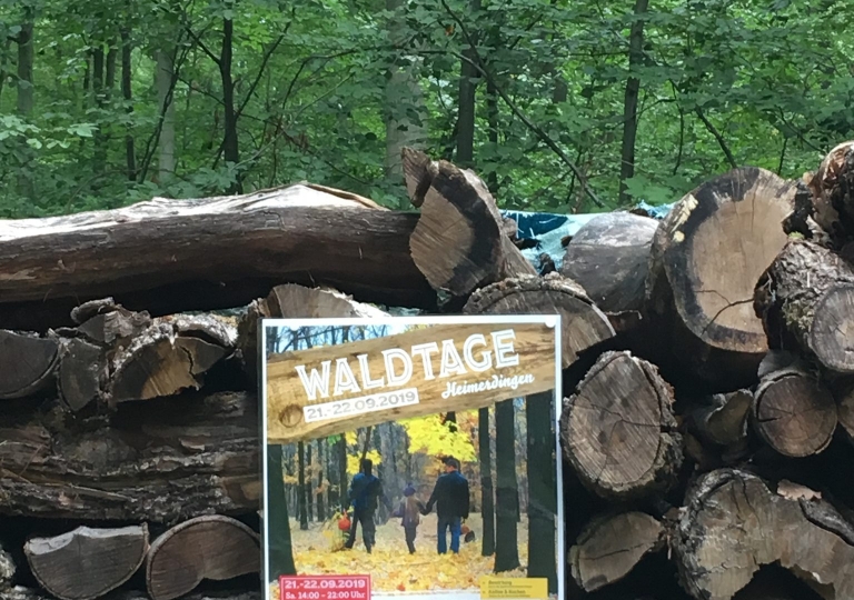 waldtage_19_00