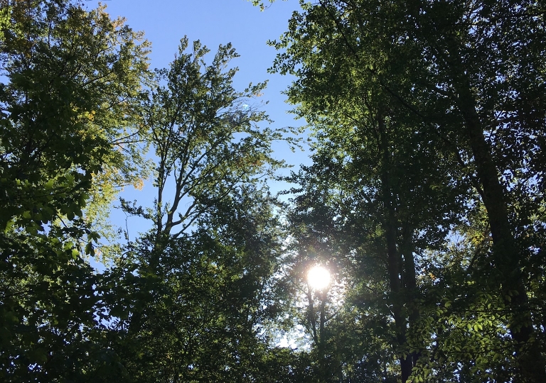 waldtage_19_09