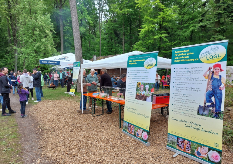 wald23_4