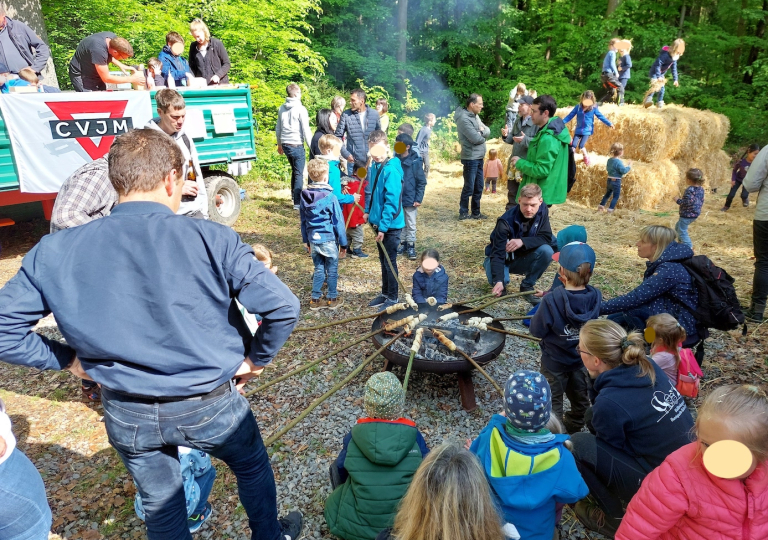 wald23_5