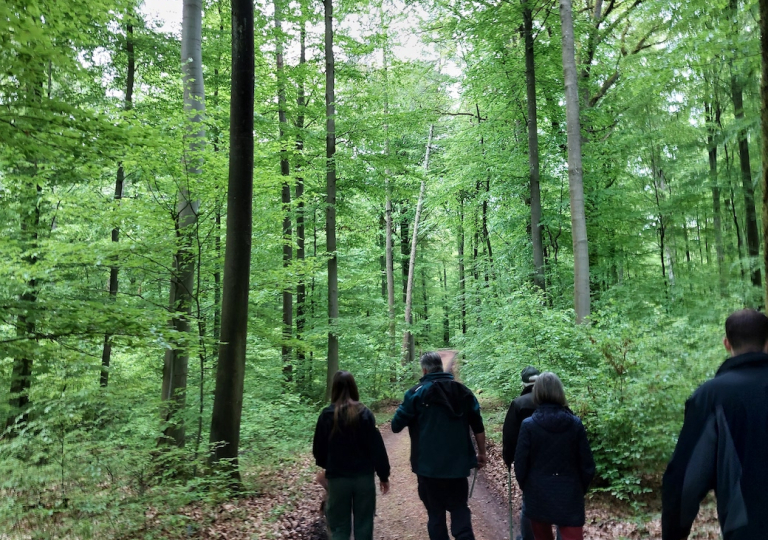 wald23_8