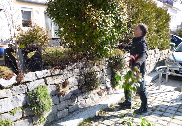 Ziergehölz-Schnittkurs 2018