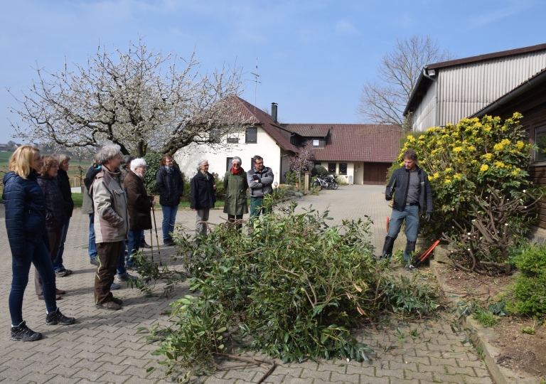 ziergehölz19_2